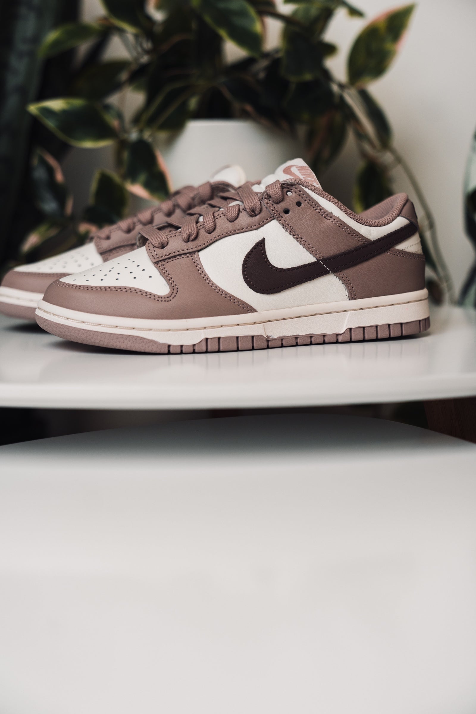 Diffused Taupe Nike Dunk Low